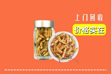 松原市前郭尔罗斯回收散虫草
