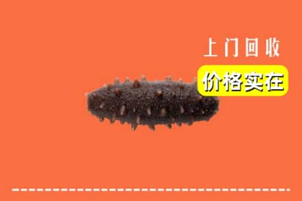 松原市前郭尔罗斯回收海参