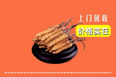 松原市前郭尔罗斯回收冬虫夏草